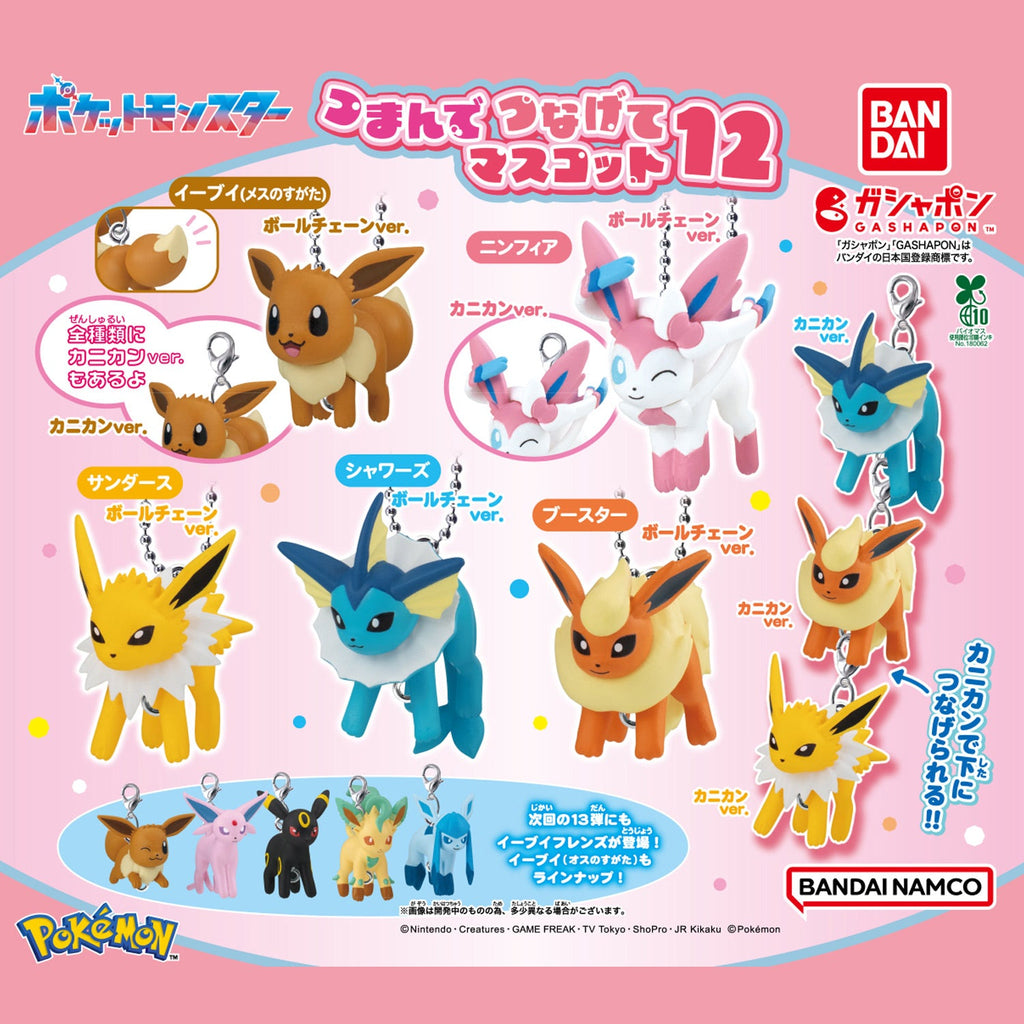 Pokémon | Pinch and Connect 12 & 13 | Bandai