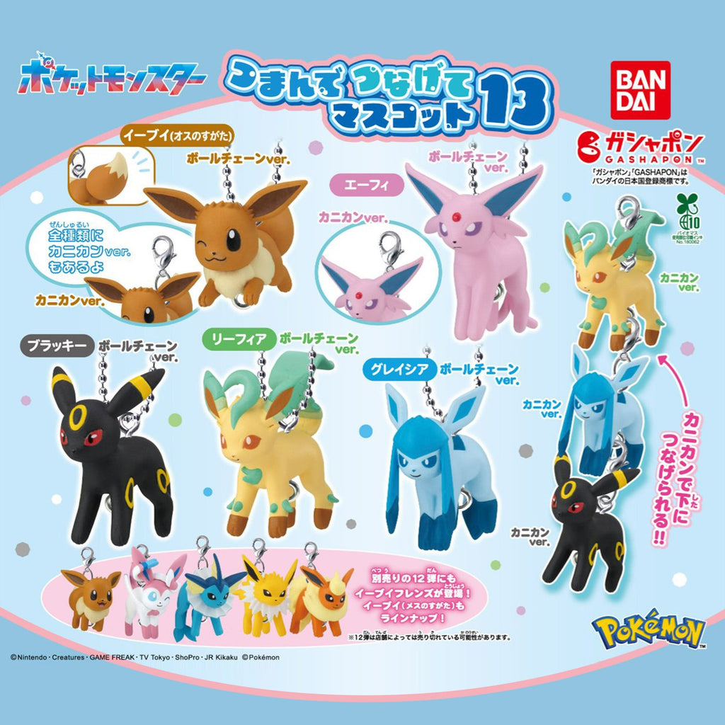 Pokémon | Pinch and Connect 12 & 13 | Bandai